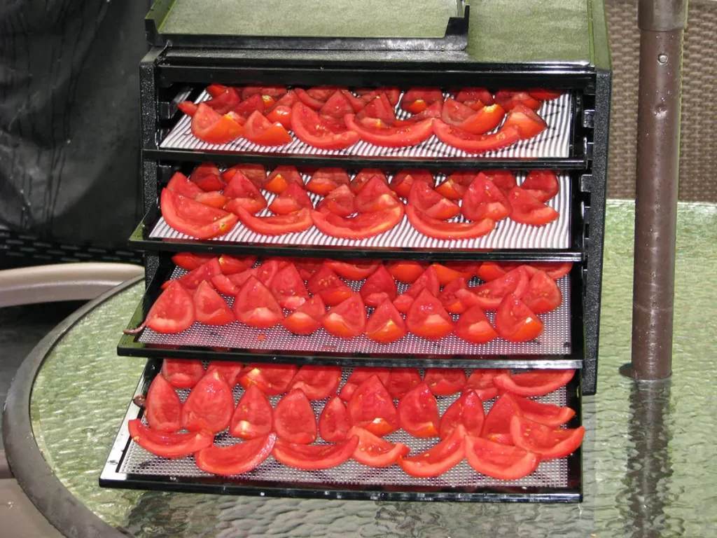 Séchage de tomates au déshydrateur 