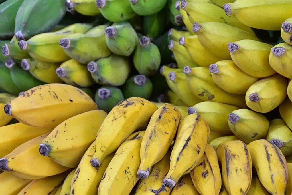 Banane pour augmenter le taux de sérotonine 