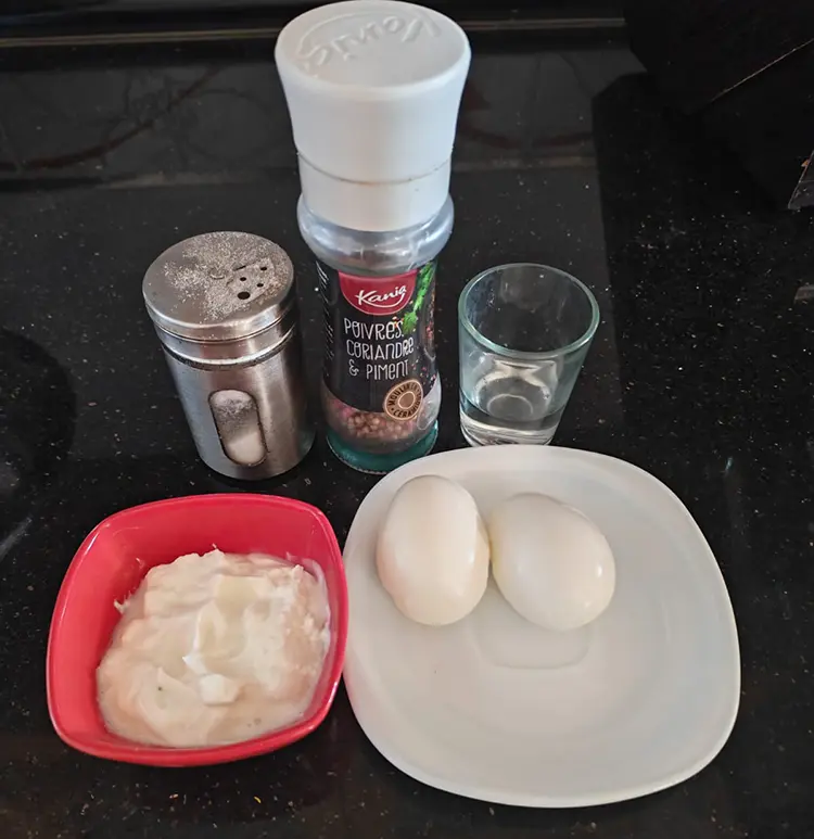Mayonnaise maison sans huile